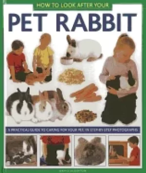 Image of how to look after your pet rabbit