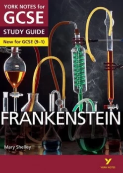Image of Frankenstein Mary Shelley by Mr Alexander Fairbairn-Dixon Book