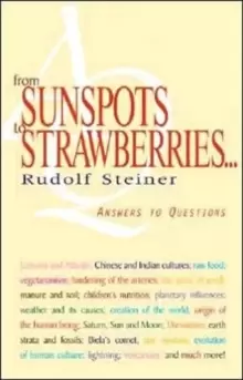 Image of From Sunspots to Strawberries : Answers to Questions