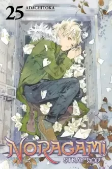 Image of Noragami: Stray God 25