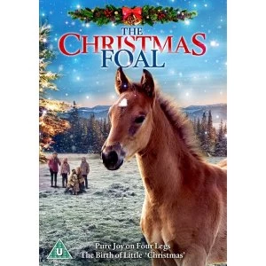Image of The Christmas Foal DVD