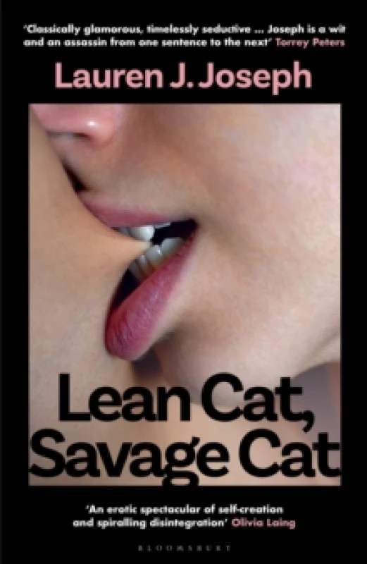 Image of Lean Cat, Savage Cat Hardback
