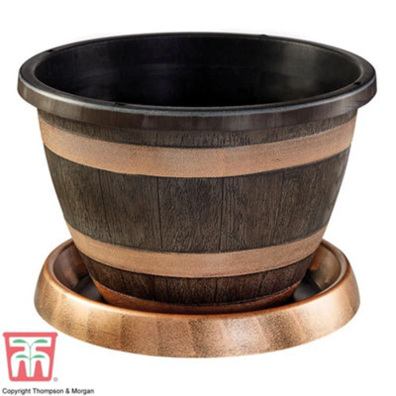 Image of Thompson & Morgan Wooden Barrel Effect Pot & Saucer X 1
