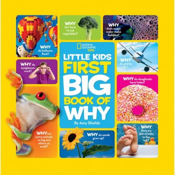 Image of First Big Book of Why by Amy Shields Hardback