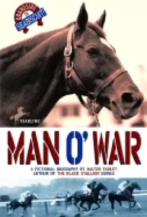 Image of man owar