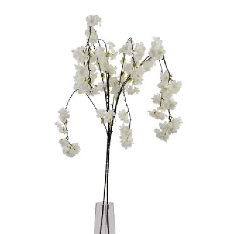 Image of Large White Cherry Blossom Stem