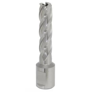 Image of Rotabor Cutter HSS 13MM - Cut Depth 50MM