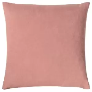 Image of Kobe Velvet Cushion Blush
