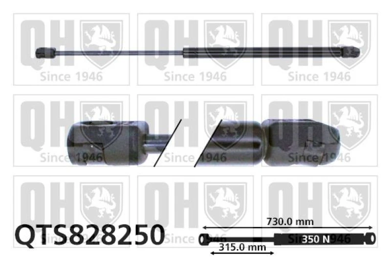 Image of QUINTON HAZELL Bonnet strut QUINTON HAZELL QTS828250