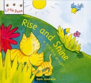 Image of Rise and Shine by Sam Godwin Hardback