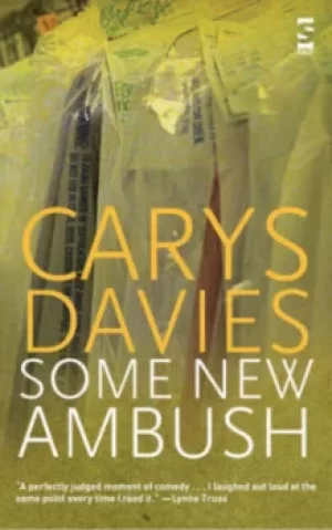 Image of Some new ambush by Carys Davies
