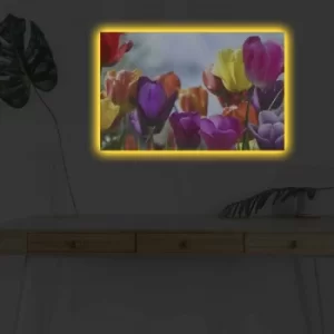 Image of 4570DHDACT-042 Multicolor Decorative LED Lighted Canvas Painting