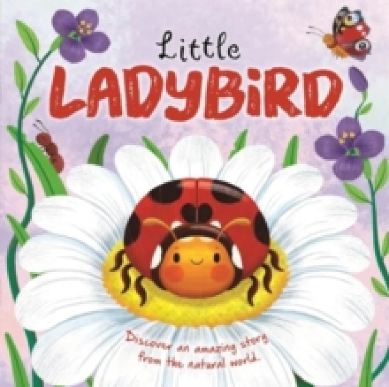 Image of Little Ladybird Board book