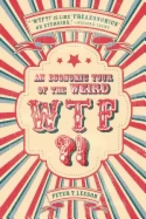 Image of wtf an economic tour of the weird