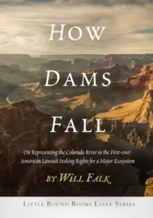 Image of How Dams Fall