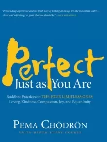 Image of Perfect Just as You Are : Buddhist Practices on the Four Limitless Ones--Loving-Kindness, Compassion, Joy, and Equanimity