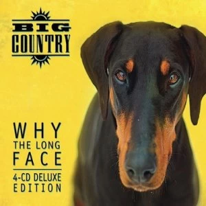 image of Why the Long Face by Big Country CD Album