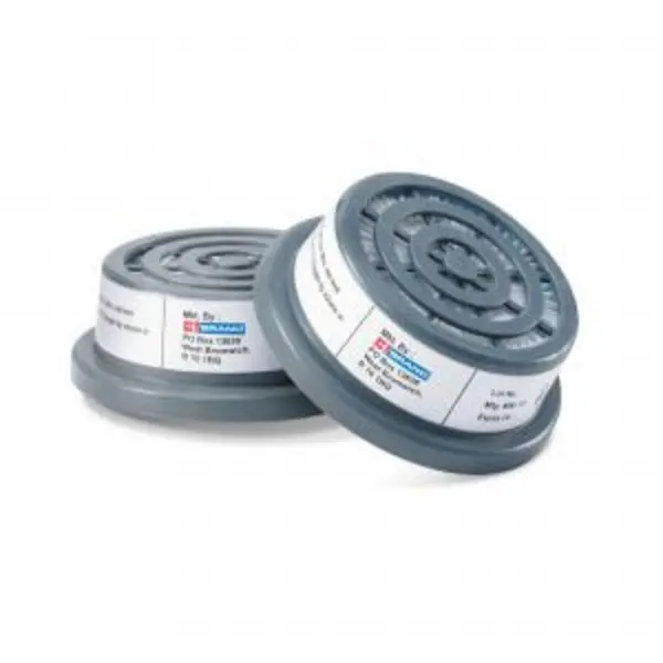 Image of Beeswift P3R Filters Pair BB3000P3 BESWBB3000P3