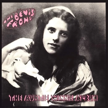 Image of The Bevis Frond - The Auntie Winnie Album CD