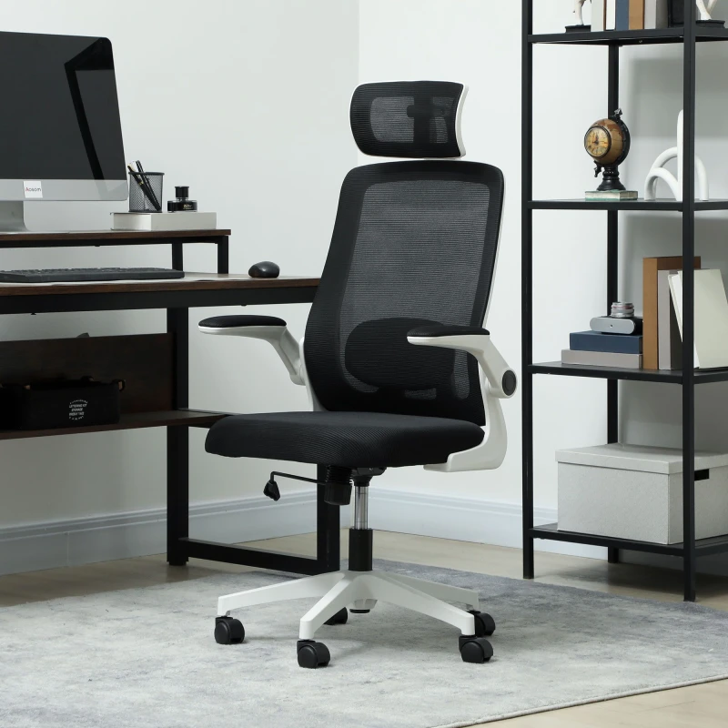 Image of HOMCOM HOMCOM Executive Office Chair, Ergonomic Mesh Desk Chair with Lumbar Support in Black One Size Unisex 5063603866294