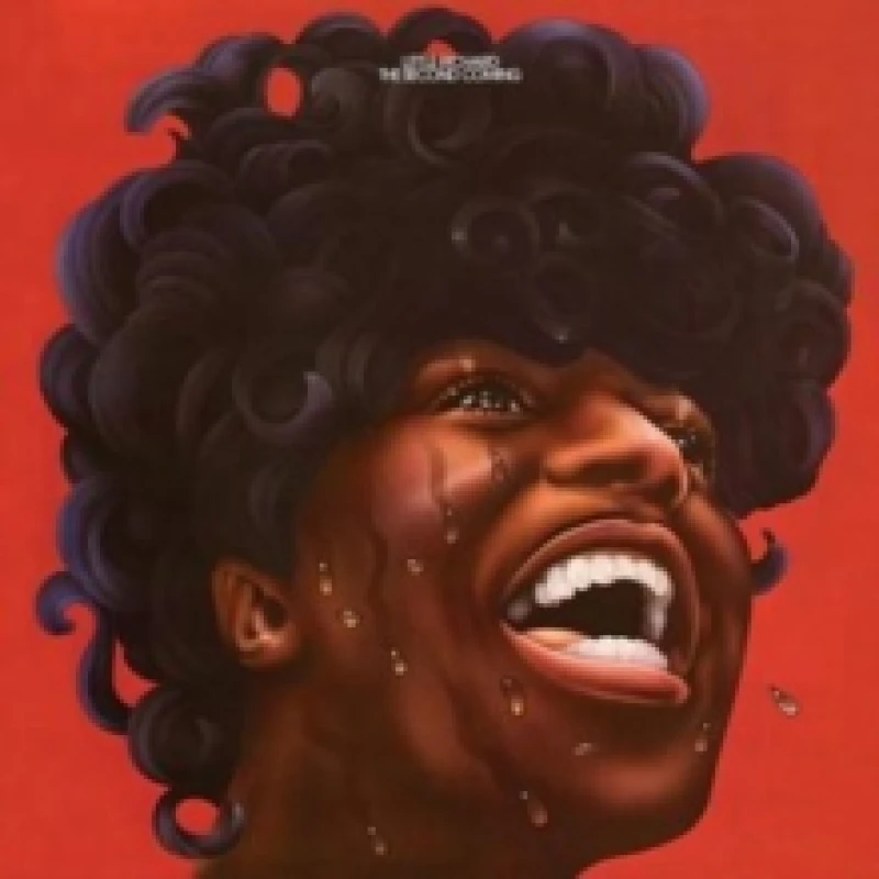 Image of The Second Coming Vinyl