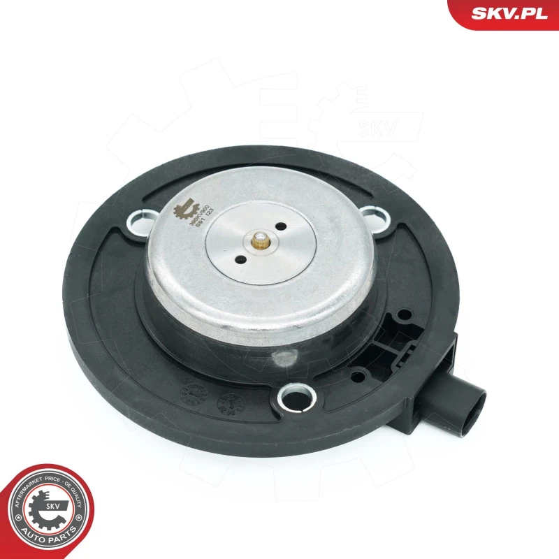 Image of ESEN SKV Camshaft adjuster magnet ESEN SKV 39SKV900