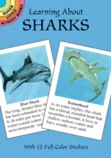 Image of Learning about Sharks