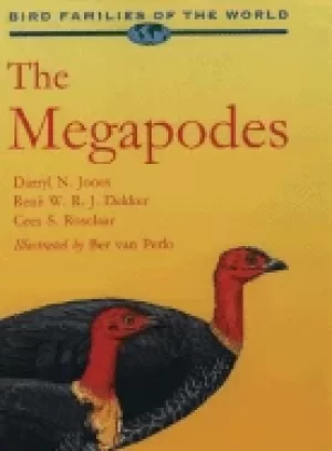 Image of megapodes megapodiidae