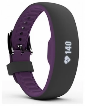 Image of iFit Axis HR Large Plum Tracker