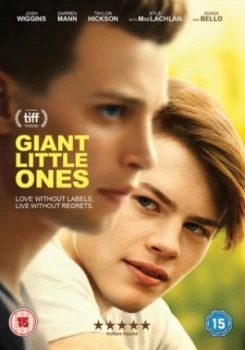 Image of Giant Little Ones - DVD
