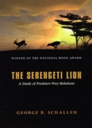 Image of serengeti lion a study of predator prey relations