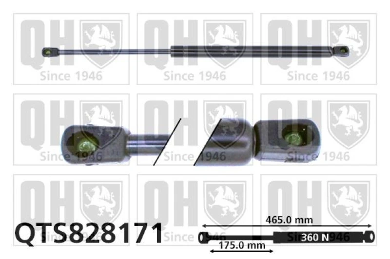 Image of QUINTON HAZELL Tailgate strut QUINTON HAZELL QTS828171