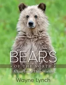 Image of Bears of the North : A Year Inside Their Worlds