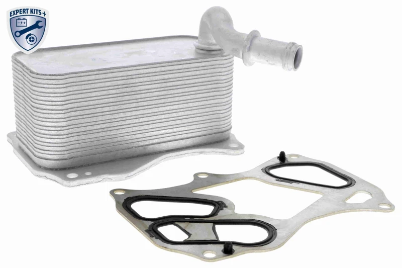 Image of Engine oil cooler VEMO V30-60-1342
