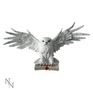 Image of The Emissary Owl Wall Art