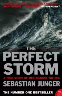 Image of The Perfect Storm : A True Story of Man Against the Sea