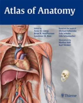 Image of Atlas of Anatomy by Anne M Gilroy Paperback