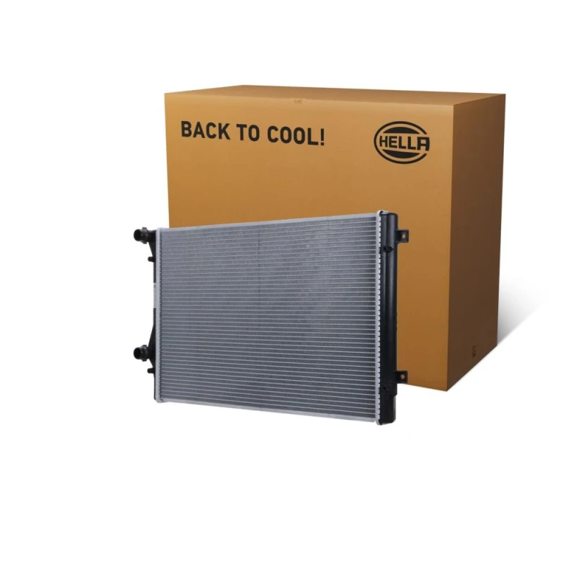 Image of HELLA Engine radiator HELLA 8MK 366 302-361