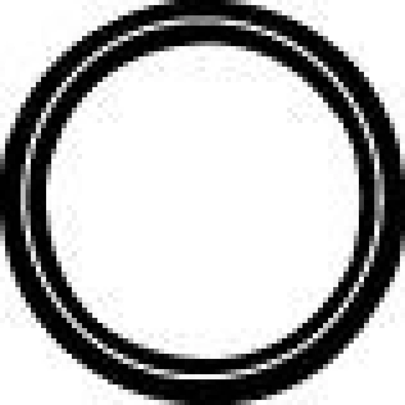 Image of Exhaust pipe gasket VEGAZ FD-142