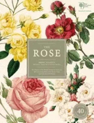 Image of rose the history of the worlds favourite flower in 40 captivating roses wit