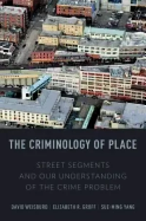 Image of criminology of place street segments and our understanding of the crime pro