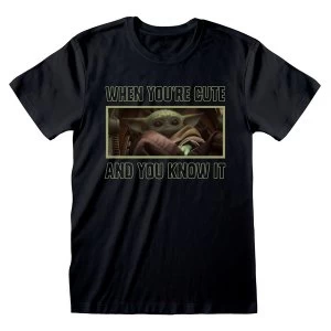 image of Star Wars - The Mandalorian When You're Cute and You Know It Unisex XL T-Shirt - Black