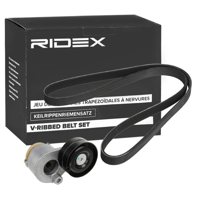 Image of RIDEX 542R0179 V-ribbed belt set V-Ribbed Belt Set (542)