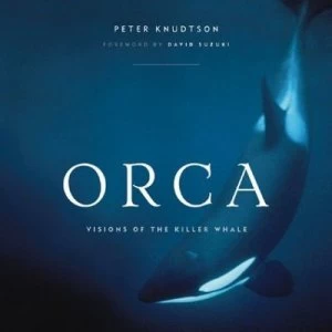 Image of Orca by Peter Knudtson Paperback