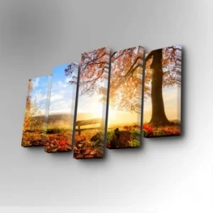 Image of 5PUC-030 Multicolor Decorative Canvas Painting (5 Pieces)