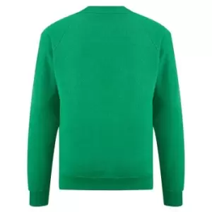 Image of Fruit Of The Loom Childrens Unisex Raglan Sleeve Sweatshirt (12-13) (Heather Green)
