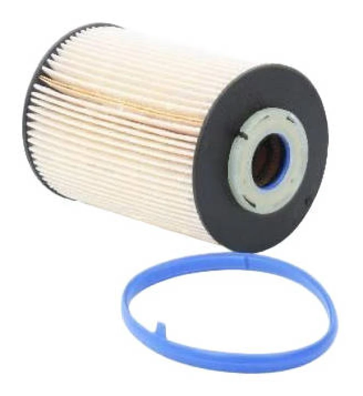 Image of ASHIKA 30-ECO030 Fuel Filter Filter Insert Fuel filter (9)