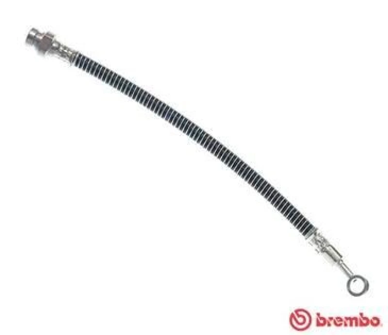 Image of BREMBO Brake hose BREMBO T 30 106