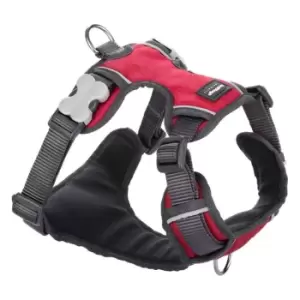Image of Red Dingo Red Padded Dog Harness Large