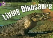 Image of Living Dinosaurs : Band 08/Purple
